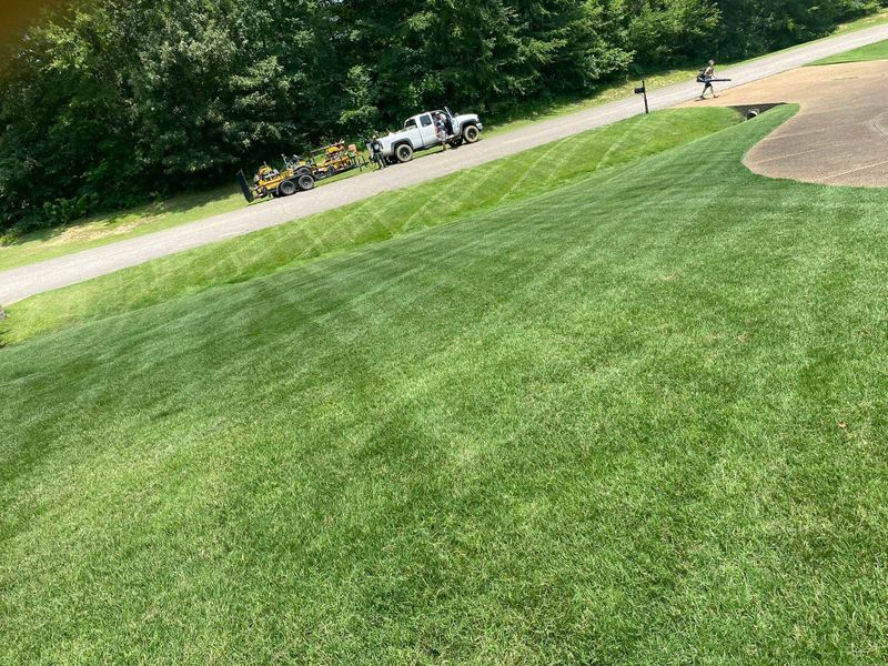 Lawn Maintenance