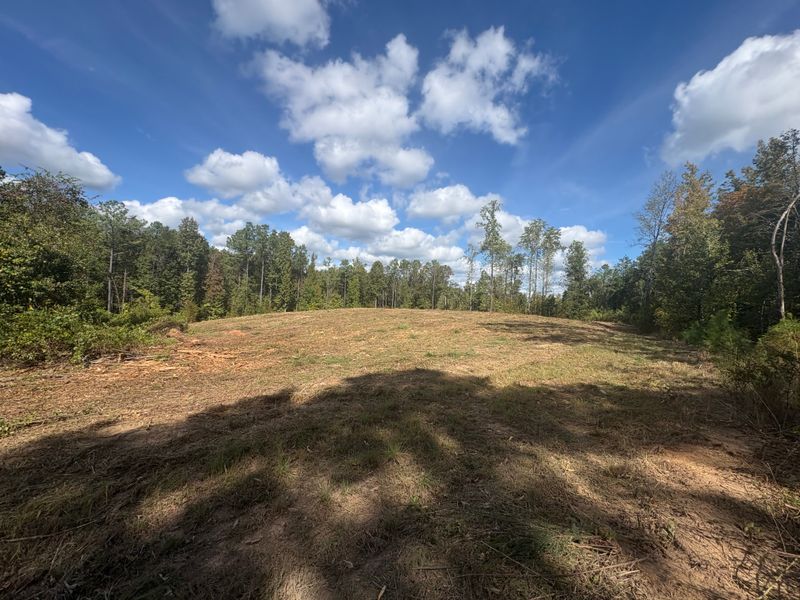 Land Clearing