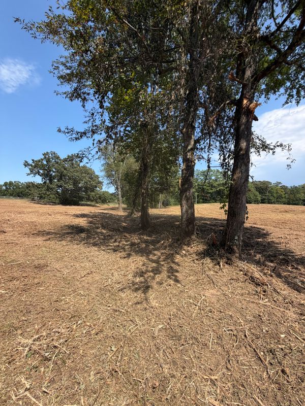 Land Clearing