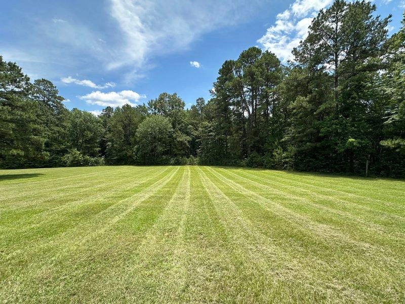 Lawn Maintenance