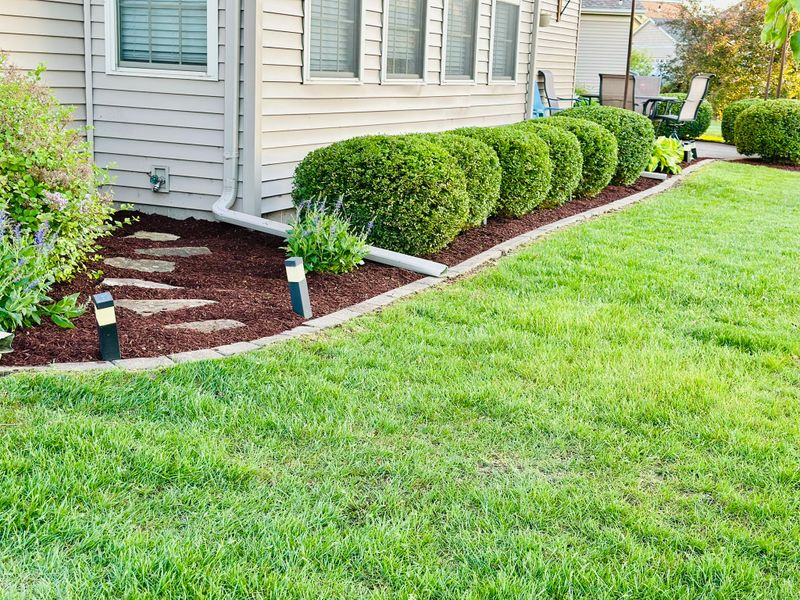 Mulch Installation