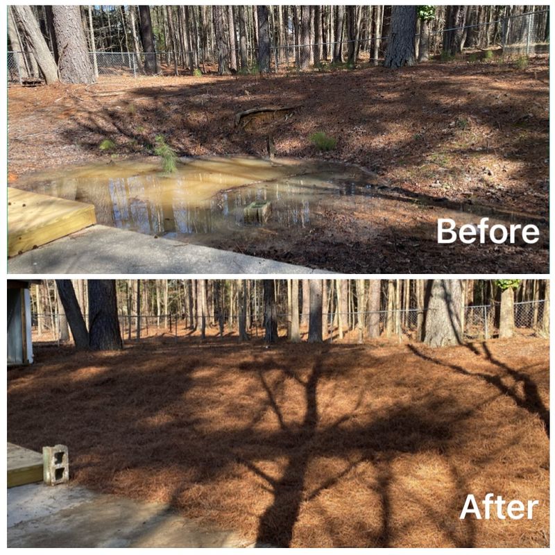 Sinkhole Repair