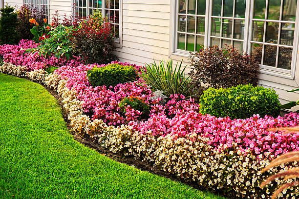 Garden Beds