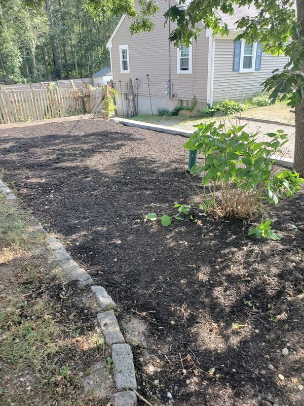 Lawn Maintenance