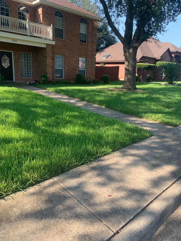 Lawn Care
