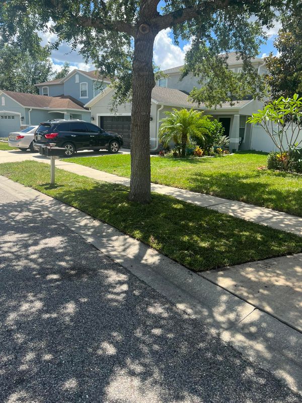 Lawn Care