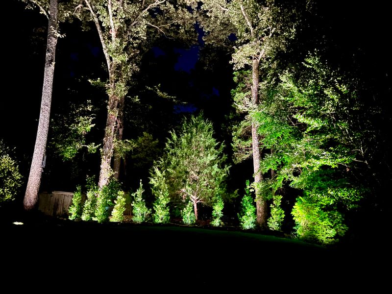 Landscape Lighting