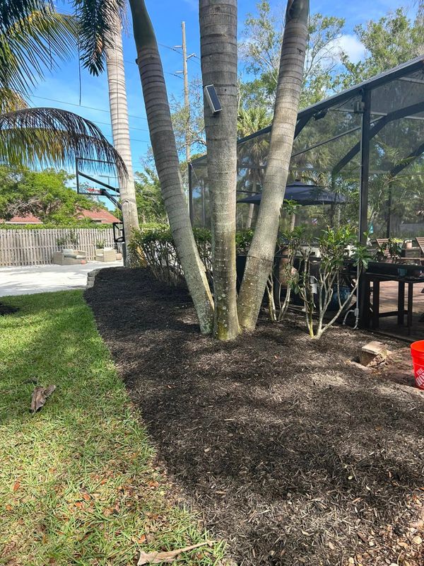 Grading and Leveling