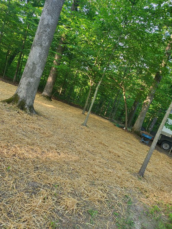Land Clearing