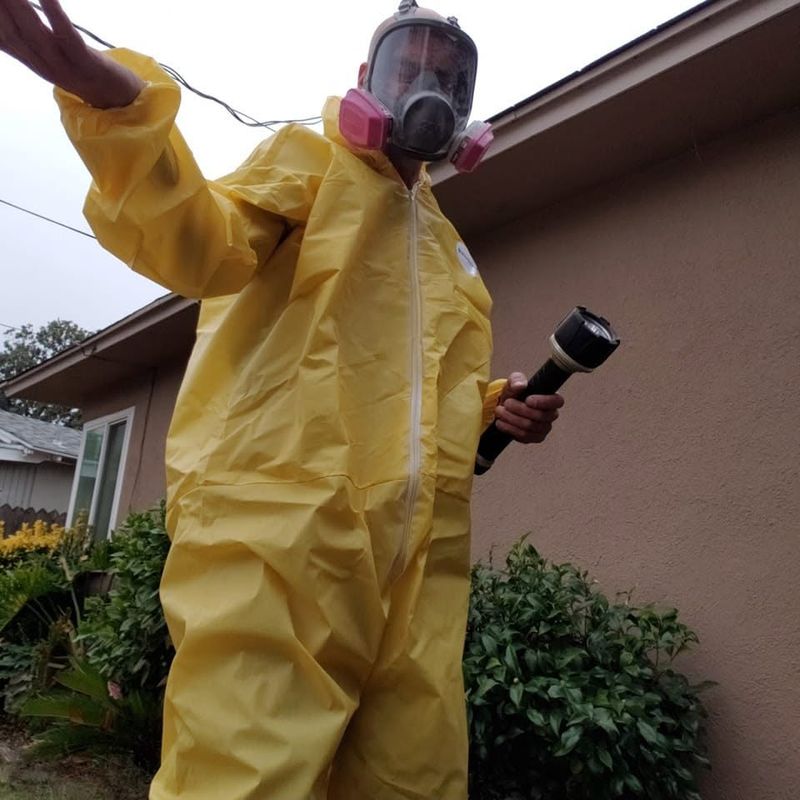 Mold Remediation
