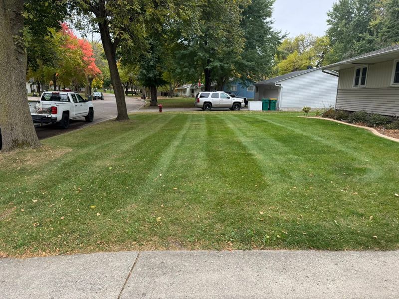 Lawn Maintenance