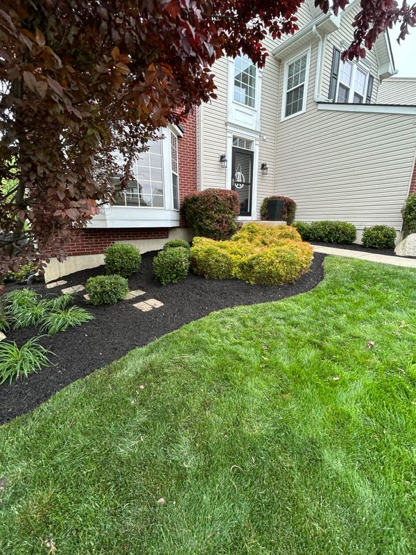 Mulching and Spring Cleanups