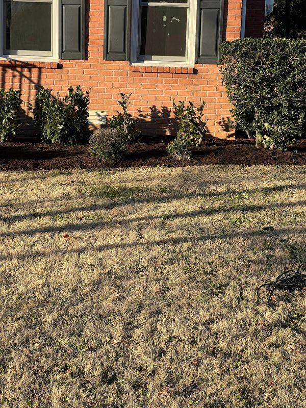 Landscaping