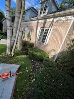 Landscaping