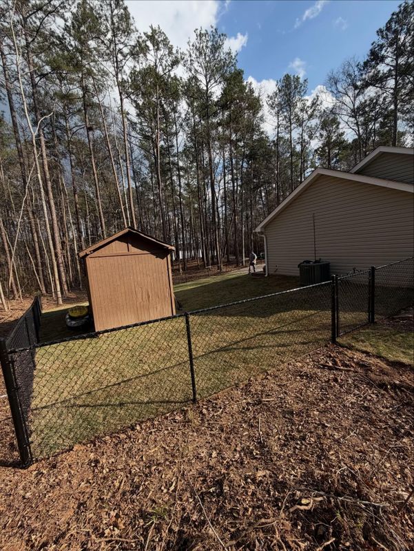 Backyard Remodel