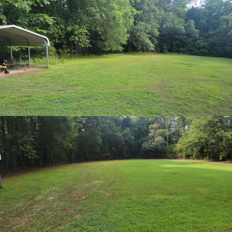 Before and After