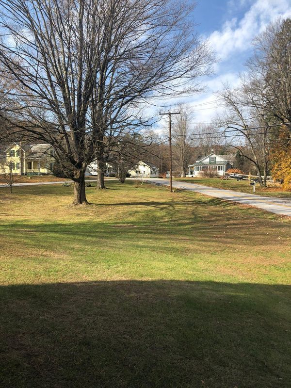 Weekly Mowing