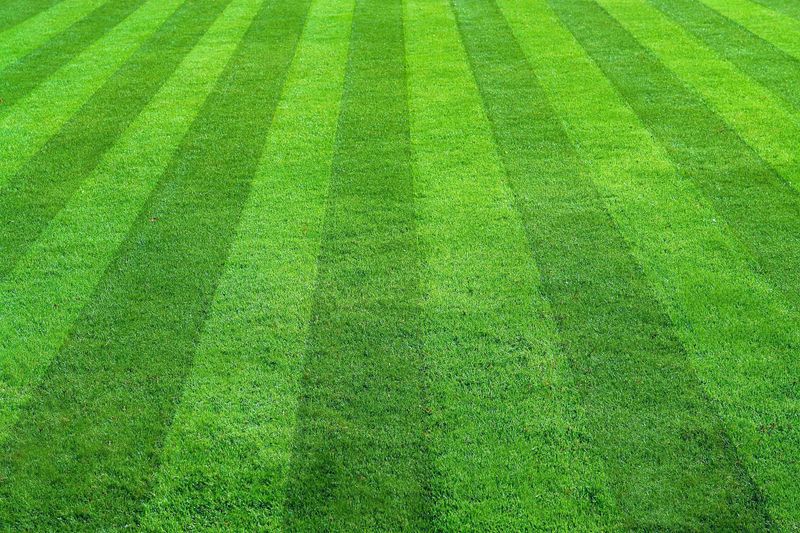 Lawn Maintenance