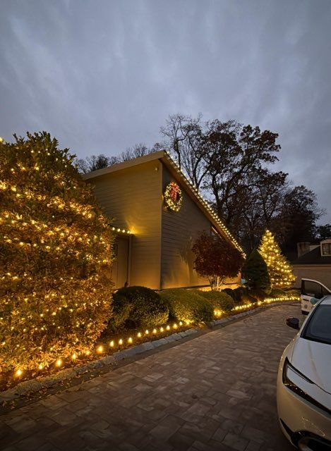 Christmas Light Installation