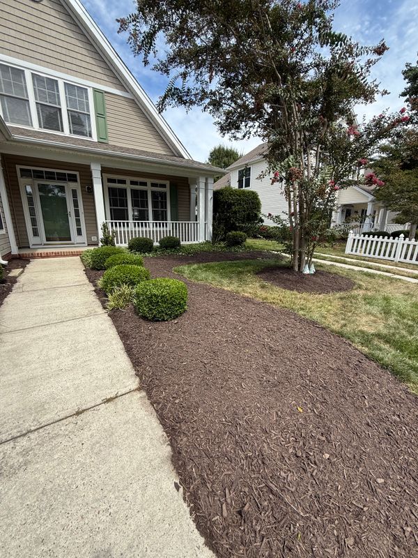 Tree & Shrub Care