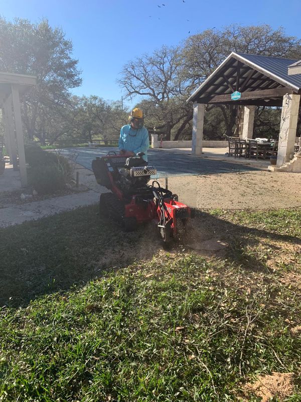   Tree Removal