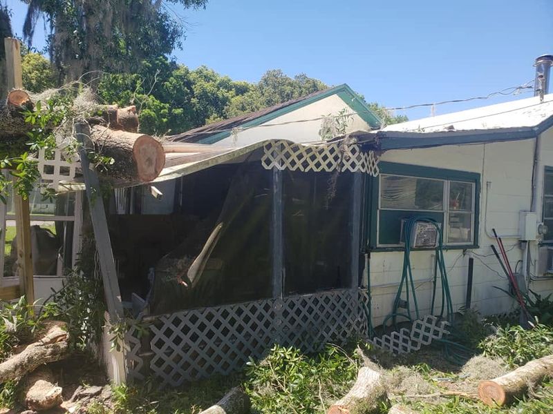 Emergency Tree Services