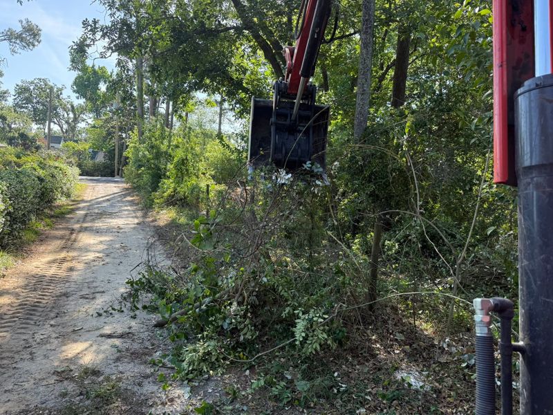 Land Clearing