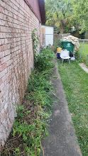 Shrub Trimming