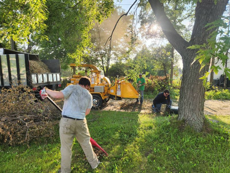 Stump Removal