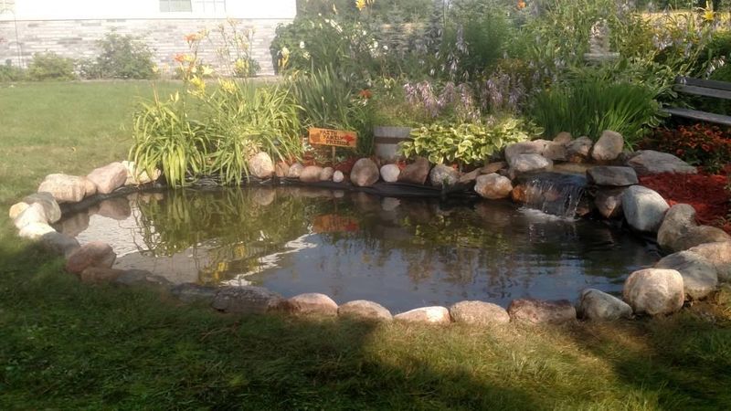 Water Features & Ponds