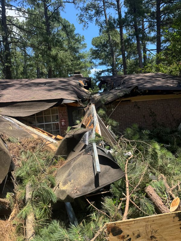 Tree Debris Removal