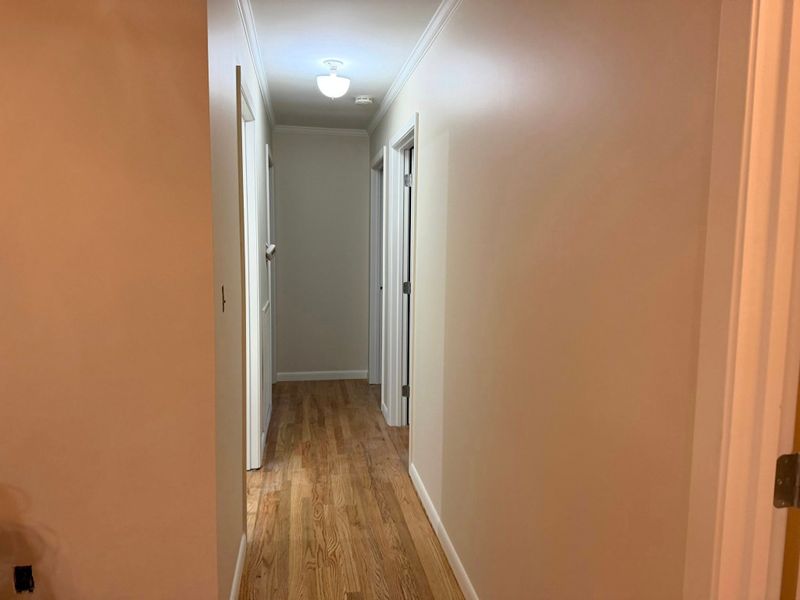 Interior Painting