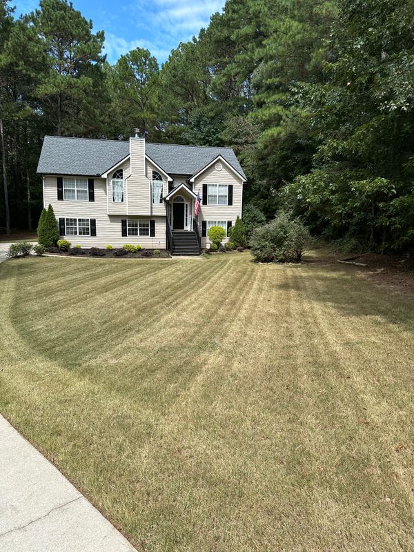 Shrub/Bush Trimming