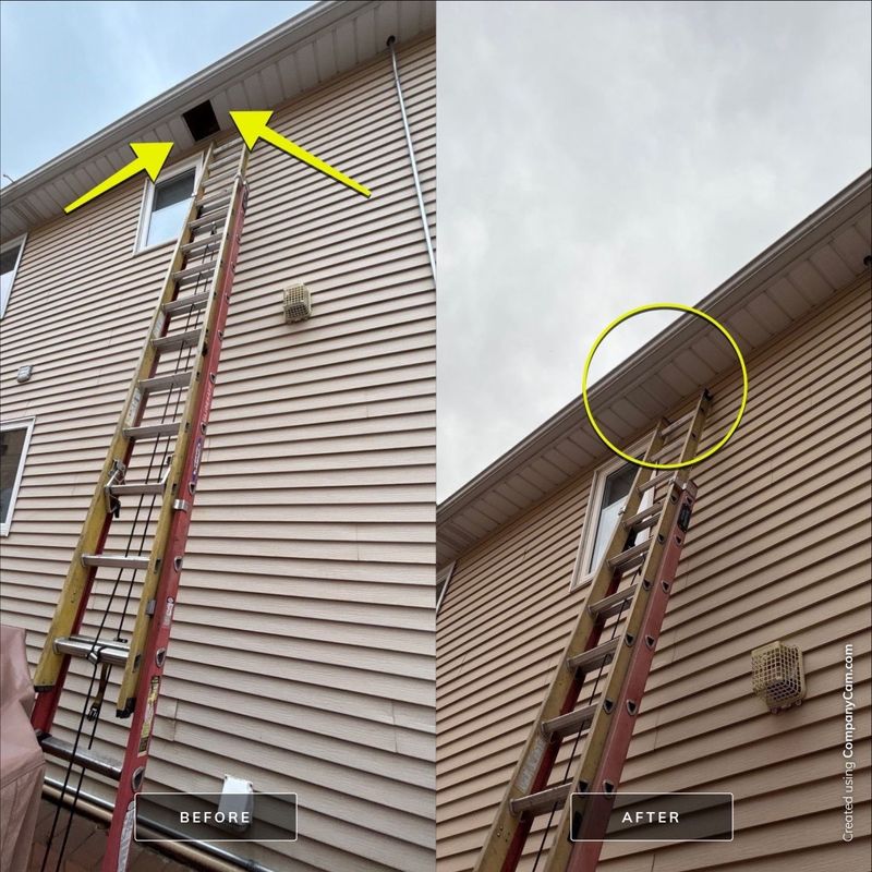 Siding Installation & Repair