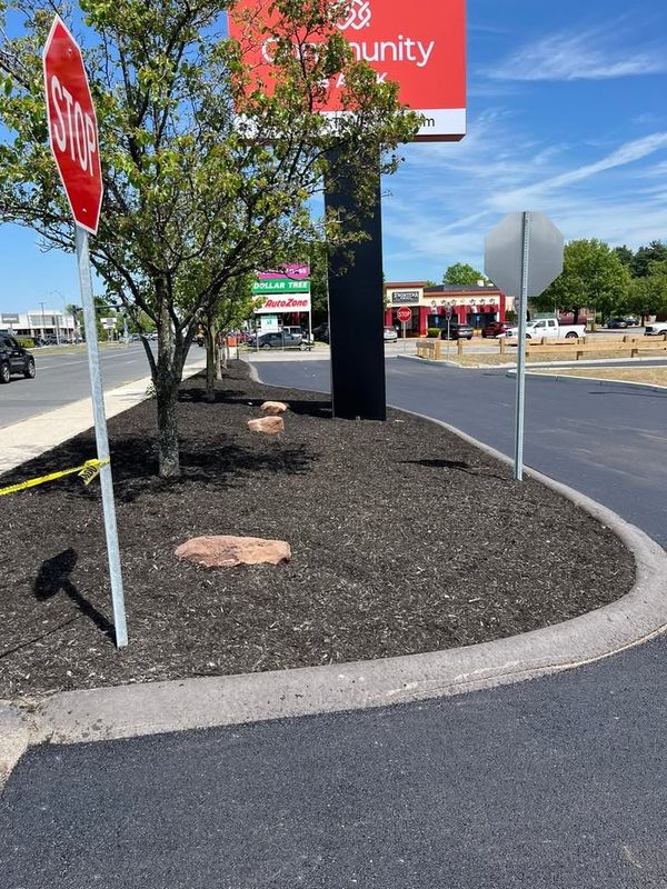 Tree & Shrub Care