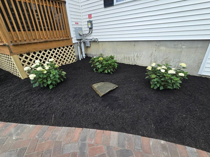 Mulch Installation