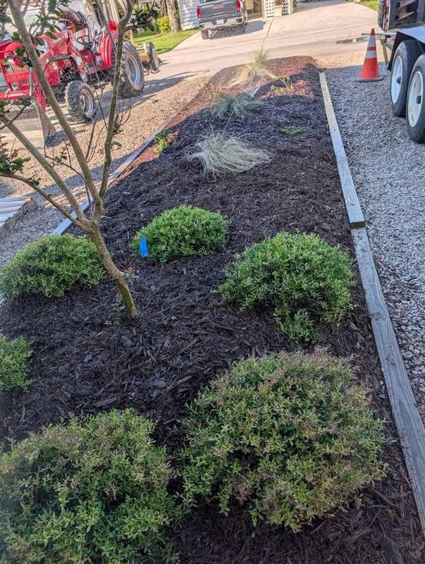 Landscaping