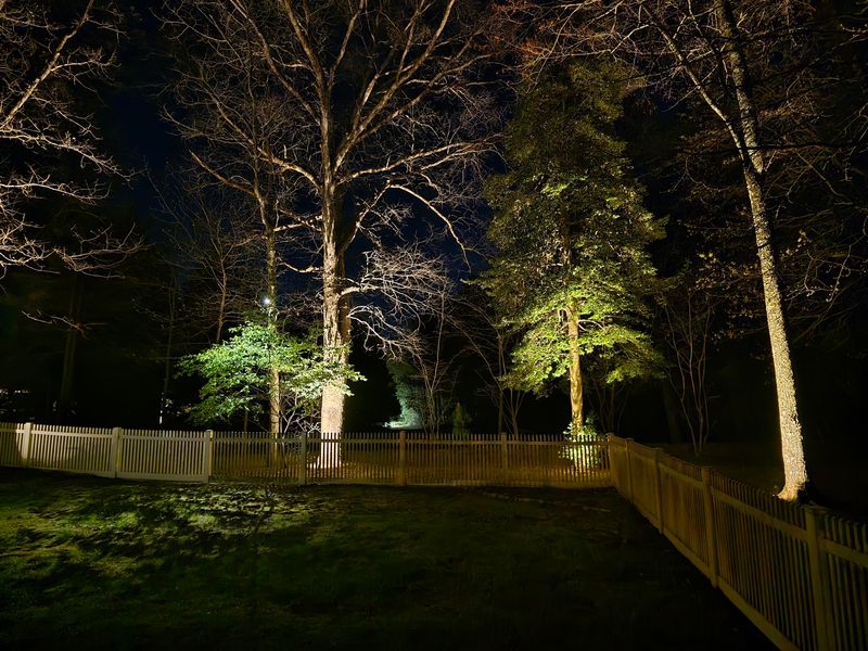 Landscape Lighting