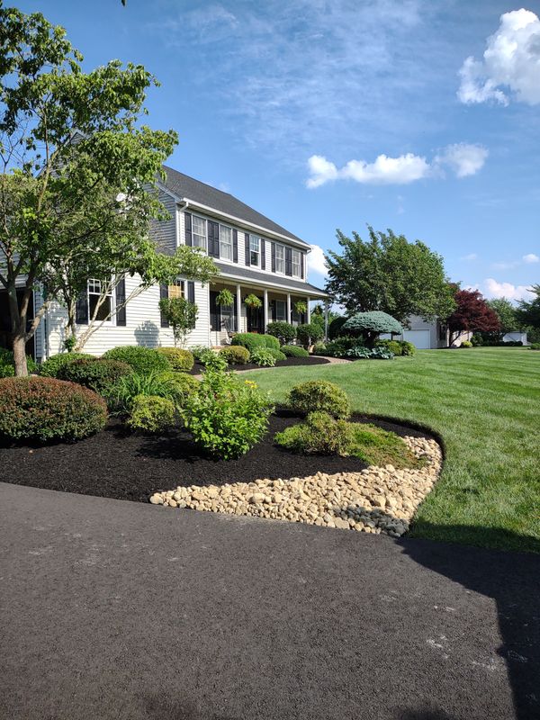 Privacy Plantings