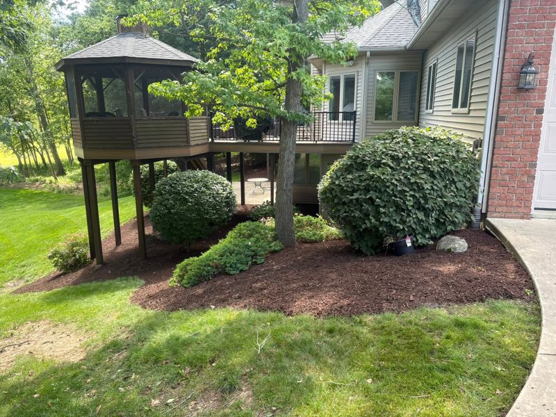 Landscape Design & Installation