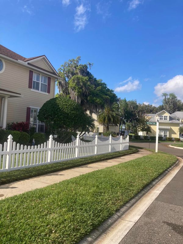 Tree Removal gallery