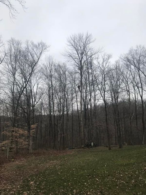 Fall and Spring Clean Up