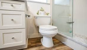 Toilet Repair
