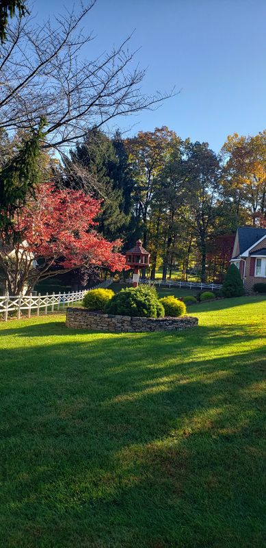 Landscaping