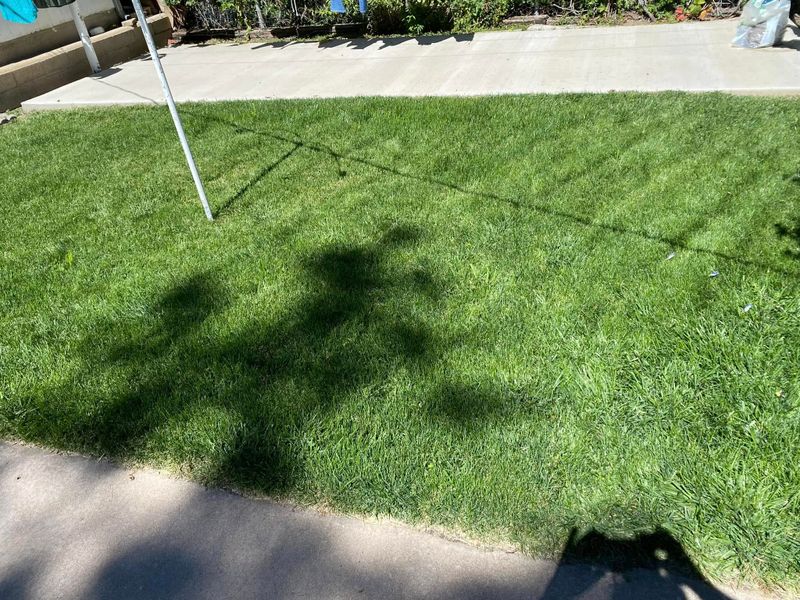 Mowing