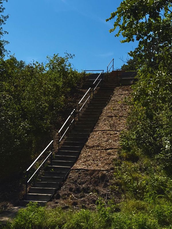 Sturdy Railing Installation on Wolflake