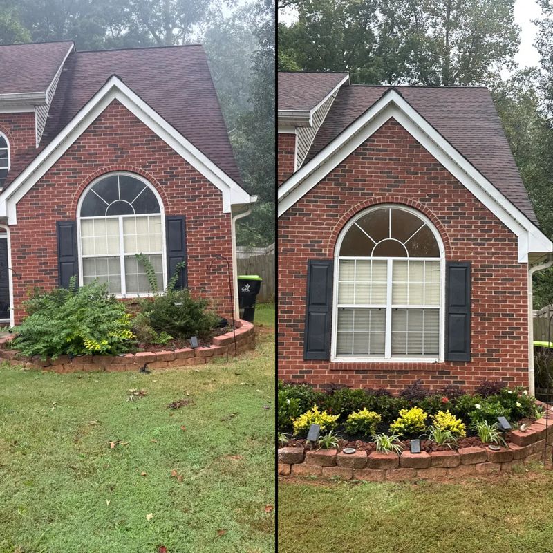 Landscape Design