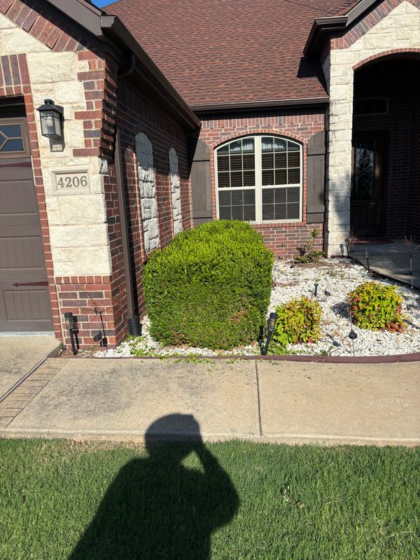 Landscape Design