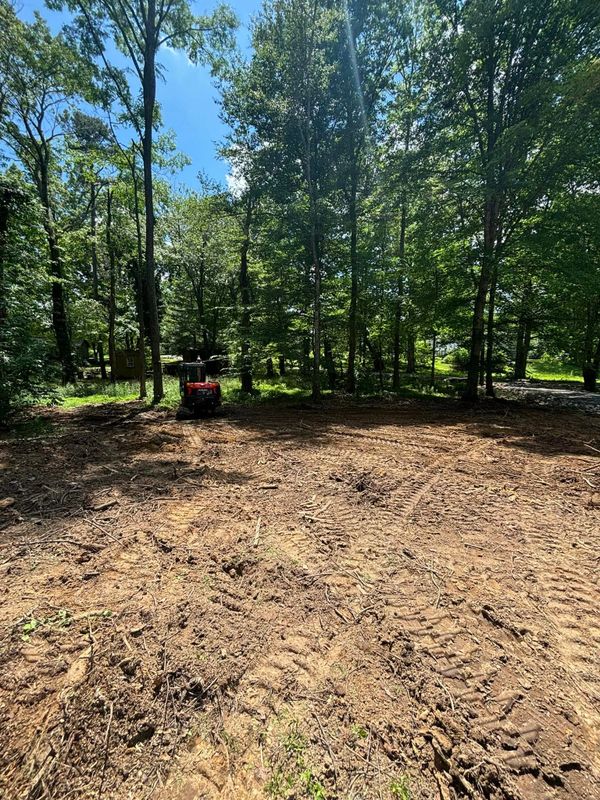 Land Clearing