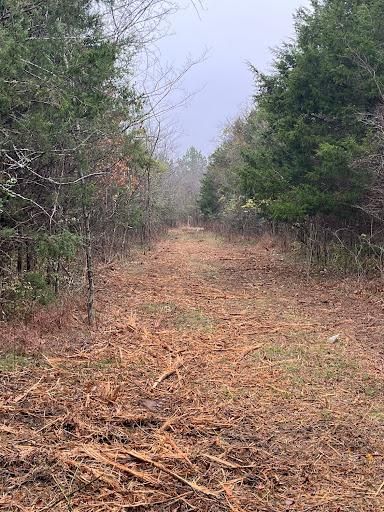 Land Clearing